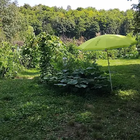 Tente Rosalie Camping Dommartin-le-Saint-Pere
