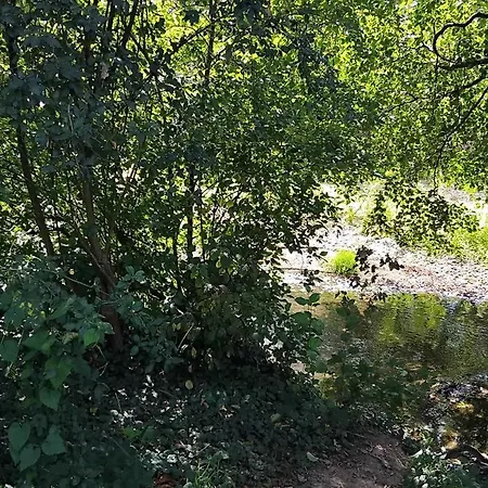 Tente Rosalie Camping Dommartin-le-Saint-Pere